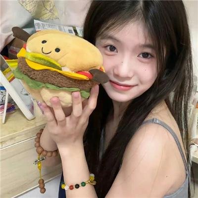 叛谍档案